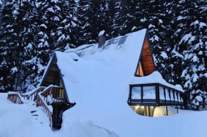 Alpine Modern A-Frame
